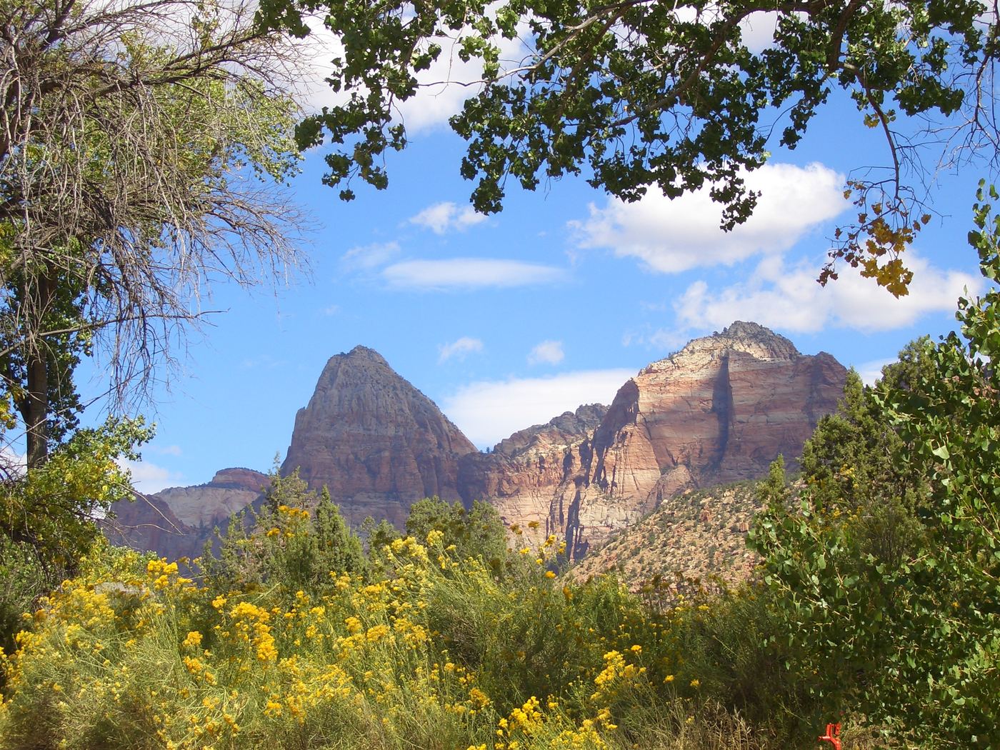 Zion Canyon sandstone walls